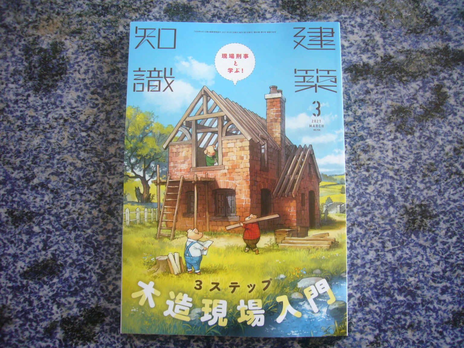 建築知識2018年1月号～12月号／ユーディーアイ確認検査(著)の+